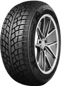 Зимняя шина Antares Lumi 001 195/55R16 91T фото