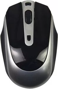 Компьютерная мышь A4Tech G11-580HX фото