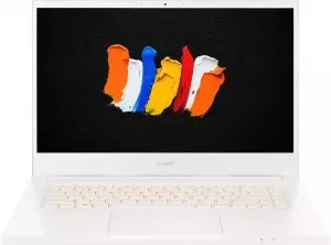 Ноутбук Acer ConceptD 3 CN315-72G-58EP (NX.C5XER.004) фото