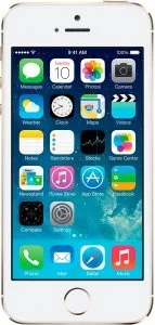 Apple iPhone 5s 16Gb Gold  фото