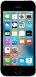 Apple iPhone SE 16Gb Space Gray фото