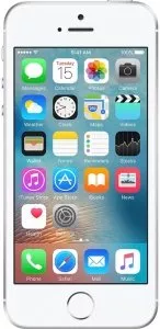 Apple iPhone SE 64Gb Silver фото