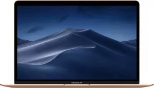 Ультрабук Apple MacBook Air 13 2019 (MVFM2) фото