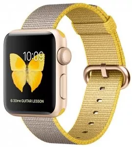 Умные часы Apple Watch Series 2 38mm Gold with Pearl Woven Nylon (MNP32) фото