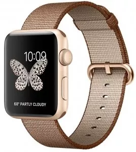 Умные часы Apple Watch Series 2 42mm Gold with Woven Nylon (MNPP2) фото