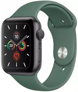 Умные часы Apple Watch Series 5 40mm Aluminum Space Gray (MWT02) icon