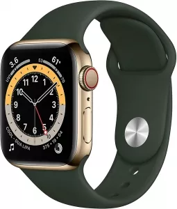 Умные часы Apple Watch Series 6 LTE 40mm Stainless Steel Gold (M06V3) фото