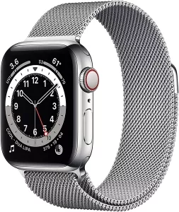 Умные часы Apple Watch Series 6 LTE 40mm Stainless Steel Silver (M06U3) фото