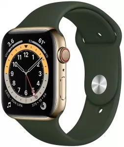 Умные часы Apple Watch Series 6 LTE 44mm Stainless Steel Gold (M09F3) фото
