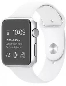 Умные часы Apple Watch Sport 42mm Silver with White Sport Band (MJ3N2) фото