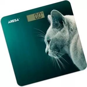 Весы напольные Aresa AR-4412 фото