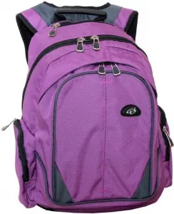 Рюкзак школьный Bagsforall Модель 18.3 фото