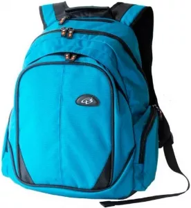 Рюкзак школьный Bagsforall Модель 18.5 фото