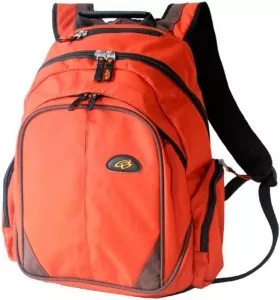 Рюкзак школьный Bagsforall Модель 18.6 фото