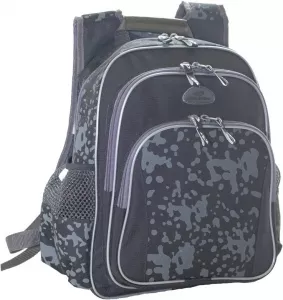 Рюкзак школьный Bagsforall Модель 320.4 фото