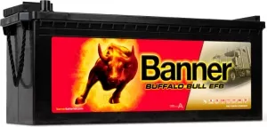 Аккумулятор Banner Buffalo Bull SHD PRO 725 03 (225Ah) фото