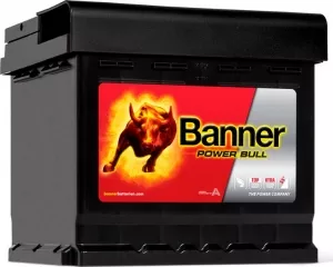Аккумулятор Banner Power Bull P6009 (60Ah) фото