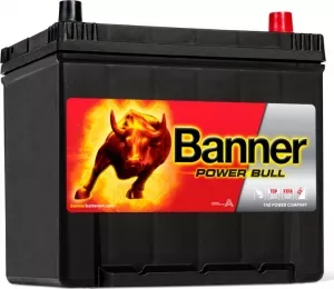 Аккумулятор Banner Power Bull P6062 (60Ah) фото