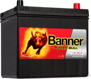 Аккумулятор Banner Power Bull P6069 (60Ah) фото