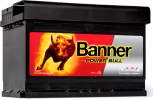 Аккумулятор Banner Power Bull P7209 (72Ah) фото