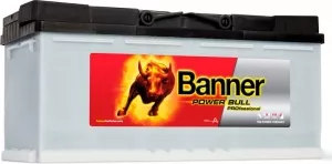Аккумулятор Banner Power Bull PRO P10040 (100Ah) фото