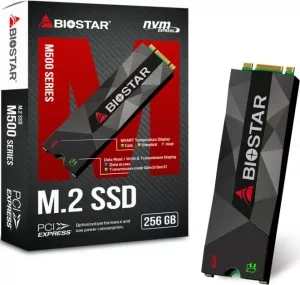 Жесткий диск SSD Biostar M500 (M500-256GB) 256Gb фото