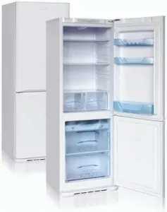 Холодильник Бирюса W143 KLS фото