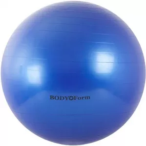 Мяч гимнастический Body Form BF-GB01 55 см blue фото