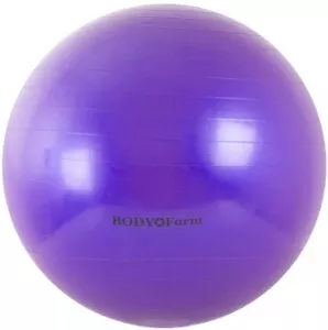 Мяч гимнастический Body Form BF-GB01 55 см purple фото