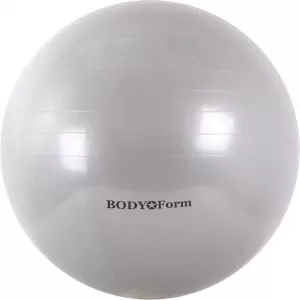 Мяч гимнастический Body Form BF-GB01 55 см silver фото