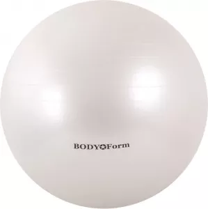 Мяч гимнастический Body Form BF-GB01 55 см white фото