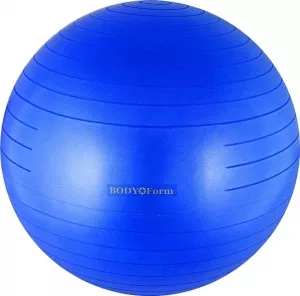 Мяч гимнастический Body Form BF-GB01AB 65 см blue фото