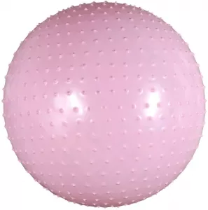 Мяч гимнастический Body Form BF-MB01 55 см pink фото
