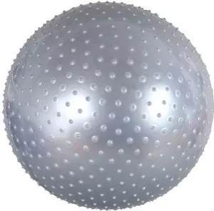 Мяч гимнастический Body Form BF-MB01 65 см grey фото