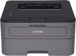 Лазерный принтер Brother HL-L2300DR фото