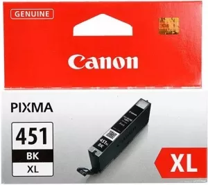 Струйный картридж Canon CLI-451XL BK фото