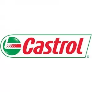 Моторное масло Castrol Magnatec 10W-40 R (4л) фото