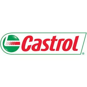 Моторное масло Castrol Magnatec Diesel 10W-40 B4 (5л) фото