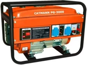 Бензиновый генератор Catmann PG-3000 (электростартер) фото