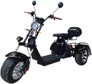 Электроскутер Citycoco TRIKE GT X11 фото