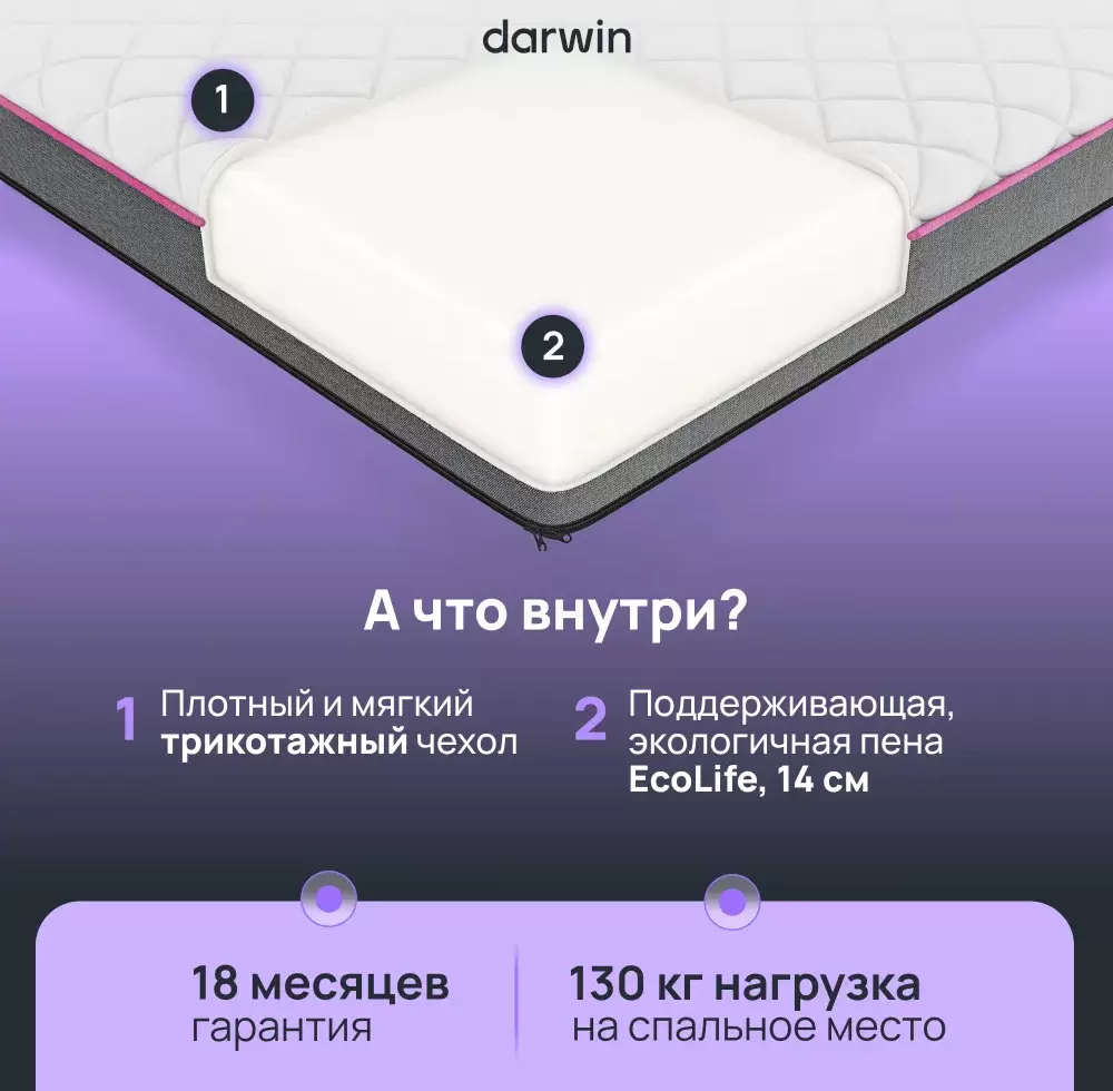 Матрас Darwin Base 160x190 фото