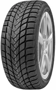 Зимняя шина Delinte Winter WD6 215/50R17 95H фото