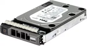 Жесткий диск Dell 400-AEEZ 1000Gb фото