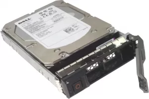 Жесткий диск Dell 400-AUSS 4000Gb фото