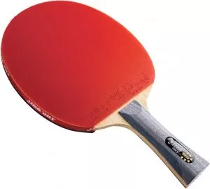 Ракетка для настольного тенниса DHS R6002 фото