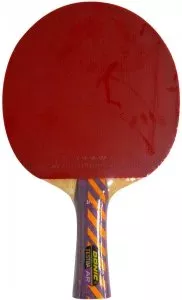 Ракетка для настольного тенниса Donic Testra AR фото