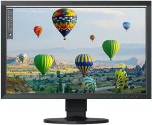 Монитор EIZO ColorEdge CS2410-BK фото