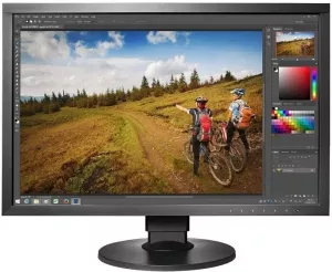 Монитор EIZO ColorEdge CS2420-BK фото