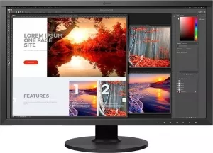 Монитор EIZO ColorEdge CS2740-BK фото