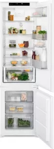 Холодильник Electrolux RNS8FF19S фото